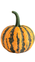 A round, striped pumpkin with orange and green colors, often used for decoration or cooking. png