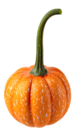 A vibrant orange pumpkin with a green stem, showcasing its textured surface. png