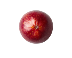 Overhead View of a Single Red Plum png