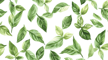 Illustration of Basil Leaves Pattern png