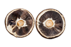 Cross-Section of Two Button Mushrooms png