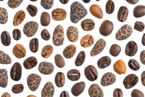 Collection of Roasted Coffee Beans with Varied Color and Pattern png