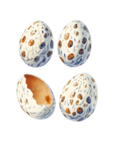 Illustration of Four Speckled Bird Eggs Two Intact, Two Broken png