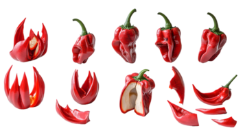 Red Bell Pepper Whole and Dissected Views png
