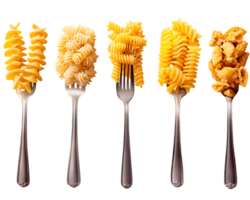 5 Types of Uncooked Pasta on Forks png