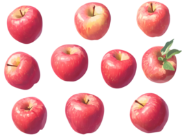 Digital Illustration of Twelve Red Apples png