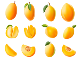 Vibrant collection of various mango illustrations showcasing the fruit in its whole, sliced, and segmented forms with fresh green leaves for a tropical and colorful display. png