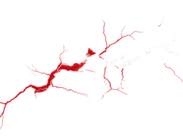 Intricate representation of neural connections in vibrant red showcasing the complexity of brain activity and electrical pathways in an abstract visual form. png
