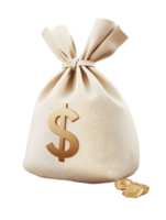 Closed fabric bag with dollar sign symbol filled with shiny coins representing wealth and financial abundance png