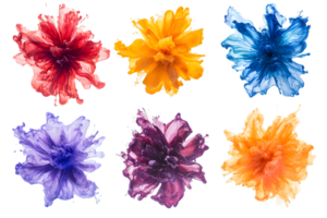 Vibrant display of six colorful flowers in shades of red blue orange purple and yellow showcasing intricate petal details in an artistic composition png