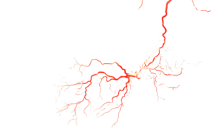 Intricate network of vivid red and white lines resembling neural pathways or electric currents conveying dynamic energy png