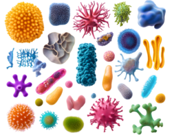 Vivid collection of diverse microscopic organisms showcasing colorful bacteria and viruses in various shapes png