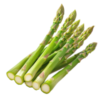Fresh green asparagus spears isolated on a clean transparent background for culinary uses and healthy recipes, Asparagus isolated on transparent background png