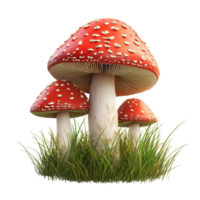 Realistic red fly agaric mushrooms growing in vibrant green grass during a sunny day in a natural setting, 3d realistic red fly agaric mushrooms in the grass, transparent background. png