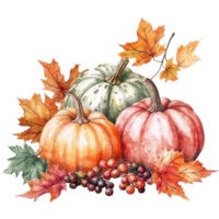 Colorful autumn harvest featuring various pumpkins and vibrant leaves on a bright backdrop, Autumn Harvest with Colorful Pumpkins and Leaves On transparent background png