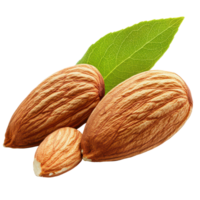 Almond nut isolated on a transparent background showcasing its natural texture and shape with a green leaf accent, Almond nutisolated on transparent background png