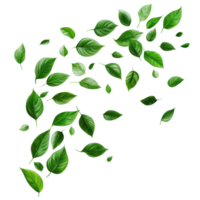 Abstract green leaves in swirling motion isolated on a transparent background, showcasing nature s elegance and movement, abstract green leaves swirling motion isolated transparent background png