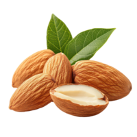 Fresh almonds with green leaves resting on a bright transparent background, showcasing natural textures and colors, almonds with leaf isolated on transparent background png