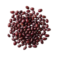 Fresh azuki bean seeds displayed on a transparent background, highlighting their rich color and distinct shape, Azuki Bean or Red Bean Seeds on transparent background png