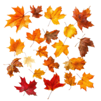 Colorful autumn leaves in various shades of orange, red, and yellow scattered on a transparent background, Autumn fall leaves isolated on transparent background png