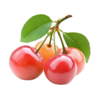 Barbados cherry with green leaves isolated on a transparent background highlighting freshness and vibrant colors, Barbados cherry isolated on transparent background png