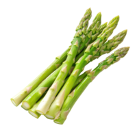 Fresh asparagus spears arranged on a transparent background showcasing vibrant green color and healthy appearance, Asparagus isolated on transparent background png