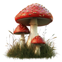 Realistic red fly agaric mushrooms growing among lush green grass in a serene outdoor setting during daylight, 3d realistic red fly agaric mushrooms in the grass, transparent background. png