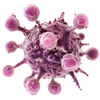 Detailed visualization of a biological cancer cell showcasing its complex structure on a transparent background, Biological cancer cell transparent background png