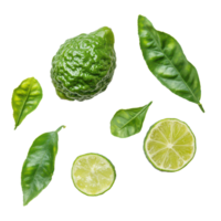 Fresh bergamot and lime with vibrant green leaves isolated on a transparent background showcasing their natural beauty, Bergamot or Thai lime and lime isolated on transparent background png
