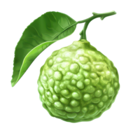 Fresh bergamot fruit with vibrant green leaf isolated on a clean transparent background for culinary and aromatic uses, bergamot fruit with leafisolated on transparent background png
