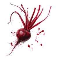 Fresh beetroot isolated on transparent background showcasing vibrant color and unique root structure with splashes of juice, Beetrootisolated on transparent background png