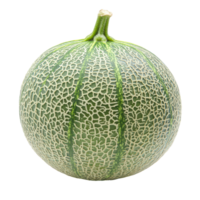 Fresh bitter melon isolated on a bright transparent background showcasing its unique texture and shape, Bittermelonisolated on transparent background png