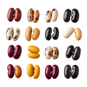 assortito fagioli isolato su un' trasparente sfondo in mostra vario colori e modelli per culinario ispirazione, pisello fagioliisolati su trasparente sfondo png