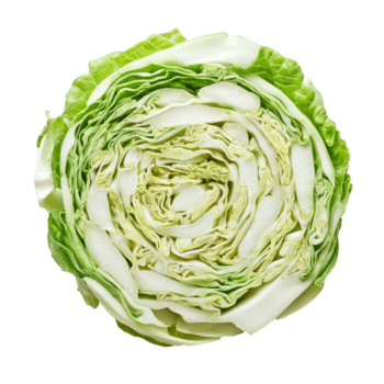 rebanado repollo arreglado en un espiral modelo en un limpiar transparente antecedentes para culinario presentaciones y recetas, rebanado repollo aislado en transparente antecedentes png