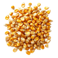 Isolated corn seeds on a transparent background showcasing their vibrant yellow color and distinct shapes, ideal for agriculture and culinary uses, Corn seedsisolated on transparent background png