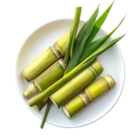 Fresh sugarcane stalks with green leaves arranged neatly on a transparent plate against a clean transparent background, sugarcane in transparent plate on transparent background png