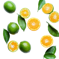 Fresh green and orange tangerines arranged artistically on a transparent background with leaves accentuating their colors, green orange tangerine on transparent background png