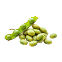 Fresh soybeans and their pod on a transparent background showcasing a healthy snack and agricultural product, Soybeans on transparent background png