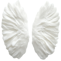 Delicate transparent feathered angel wings symbolizing purity displayed on soft transparent background, Angel Wings transparent Feathered Symbol of Purity on a transparent background png
