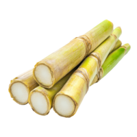 Freshly harvested sugar cane arranged on a clean transparent surface highlighting its natural texture and color, sugar cane on transparent background png