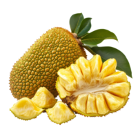 Fresh jackfruit displayed on a transparent background showcasing its textured skin and vibrant yellow pulp sections, Ripe Jackfruit isolated on transparent background png