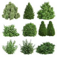 Lush green bushes in various shapes displayed on a bright transparent background, Lush Green Bushes of Different Shapes on transparent background png