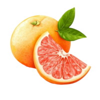Fresh grapefruit with a slice and green leaves displayed on a clean transparent background, Grapefruit with slice isolated on transparent background png