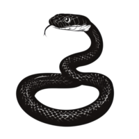 A striking silhouette of a snake curled on a transparent background showcasing its distinctive shape and features, Snake silhouette. Isolated snake isolated on transparent background png