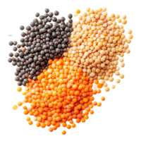 Mixed lentils in various colors isolated on a transparent background for culinary use and nutritional benefits, Lentils isolated on transparent background png