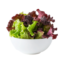 Freshly harvested red oak lettuce displayed in a transparent bowl against a clean transparent background, Red oak lettuce in transparent bowl on transparent background png