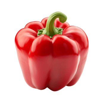 brillante rojo campana pimienta aislado en un limpiar transparente fondo, exhibiendo sus vibrante color y Fresco apariencia, rojo pimienta islated en transparente antecedentes png