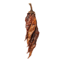 Dried puya pepper displayed on a transparent background highlighting its unique texture and color in natural light, dried puya pepper isolated on transparent background png