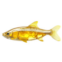 Realistic depiction of fish oil contained in a transparent fish shape on a transparent background, fish oil on transparent background png