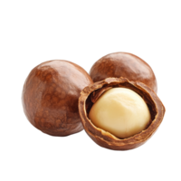Fresh macadamia nuts on a transparent background highlighting their rich texture and unique shape, perfect for culinary uses, macadamia isolated on transparent background png
